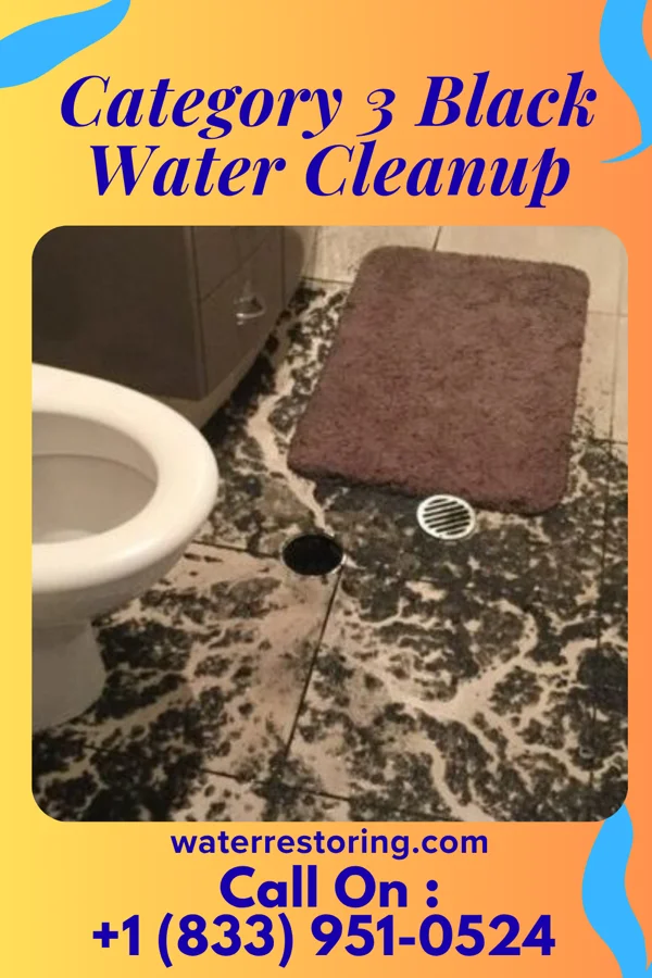 Category 3 Black Water Cleanup in Wilroads Gardens, KS