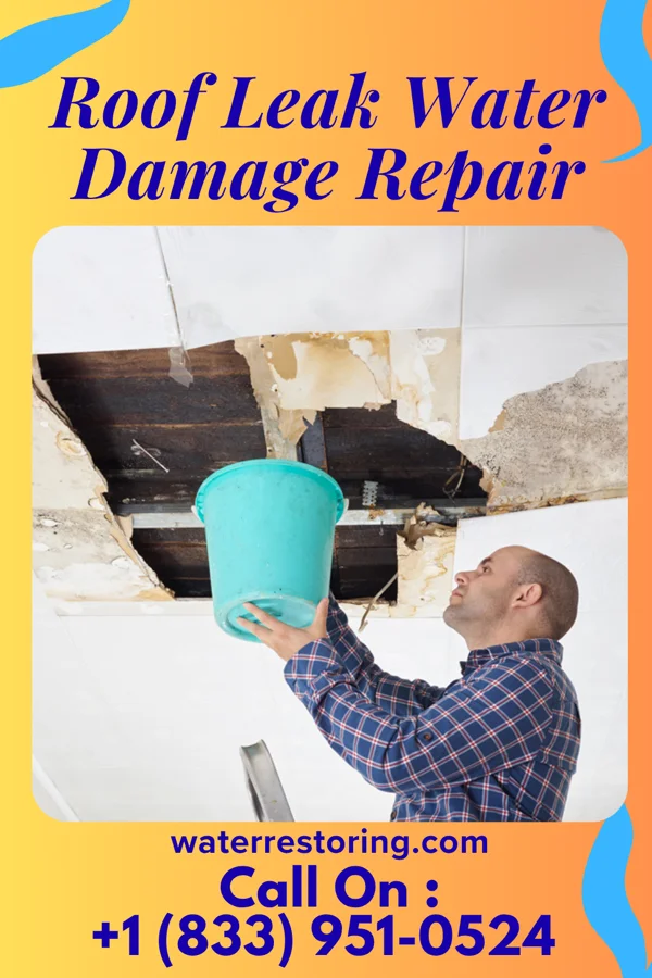 Roof Leak Water Damage Repair in Wilroads Gardens, KS